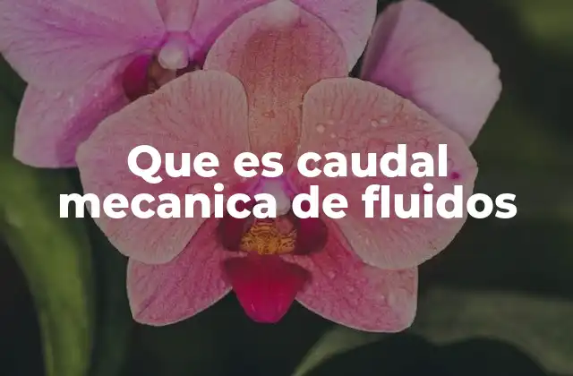 Que es Caudal Mecanica de Fluidos