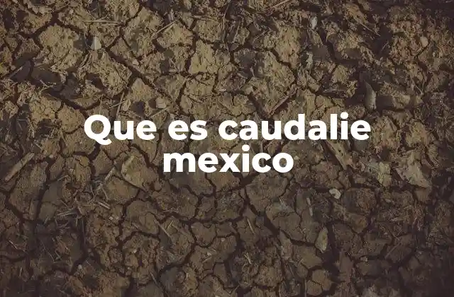Que es Caudalie Mexico