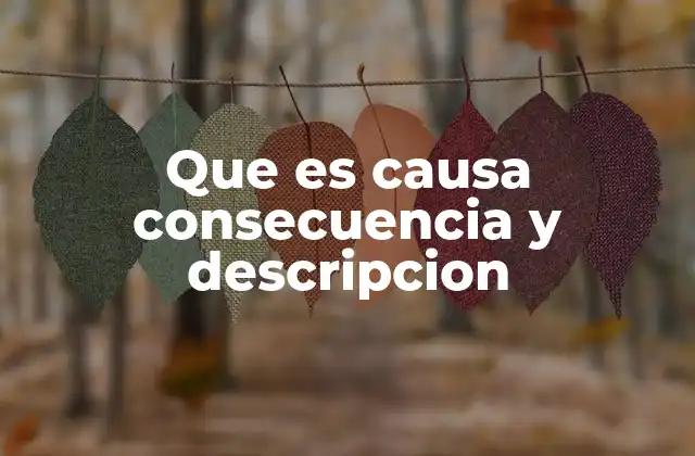 Que es Causa Consecuencia y Descripcion