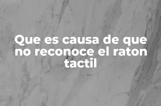 Que es Causa de que No Reconoce el Raton Tactil
