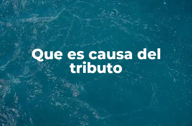 Que es Causa Del Tributo