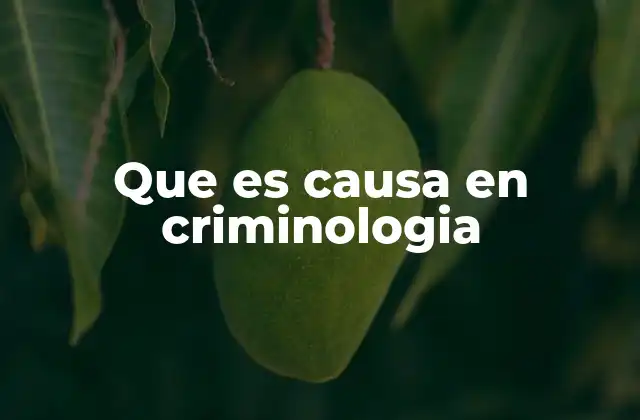 Que es Causa en Criminologia 2 El rol de las causas en la interpretación del comportamiento criminal