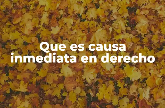 Que es Causa Inmediata en Derecho 2 El rol de la causalidad en el derecho penal y civil