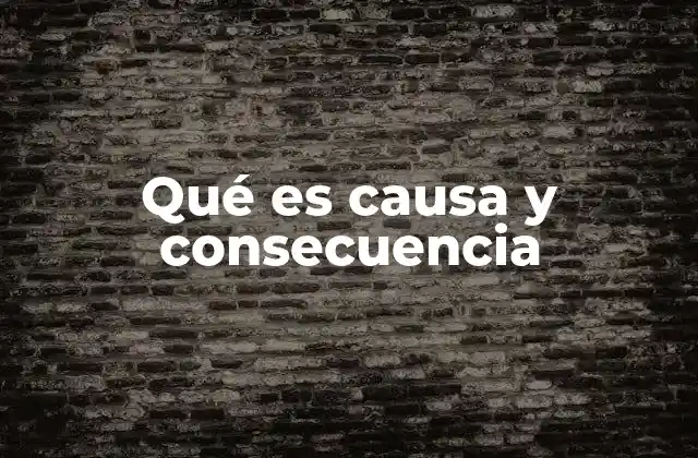 Qué es Causa y Consecuencia 2 La relación entre eventos en el mundo real
