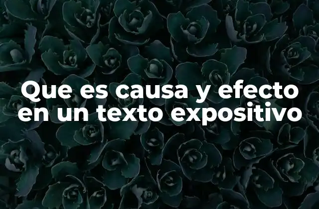 Que es Causa y Efecto en un Texto Expositivo