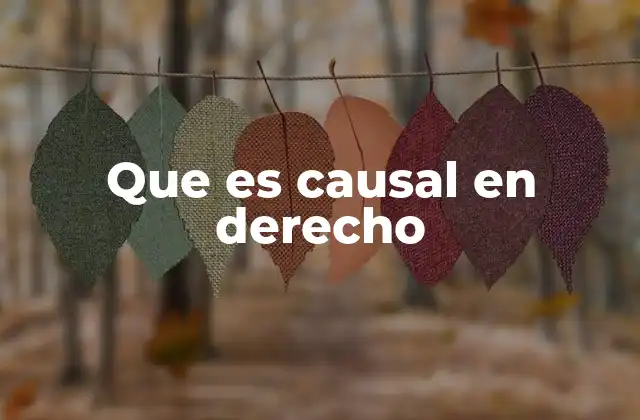 La importancia de la causal en la interpretación de las normas legales