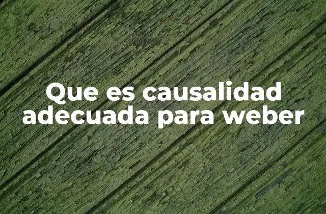 La relación entre la acción humana y la causalidad adecuada