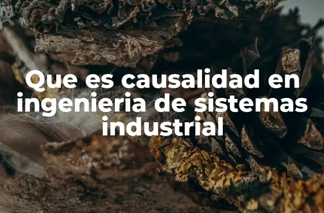 Que es Causalidad en Ingenieria de Sistemas Industrial