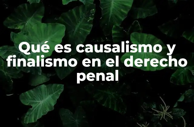 Qué es Causalismo y Finalismo en el Derecho Penal