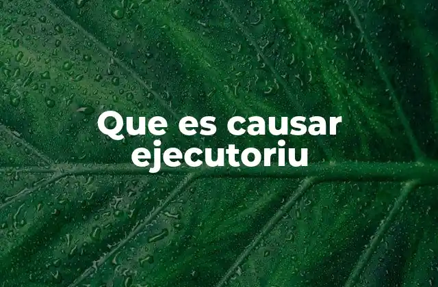 Que es Causar Ejecutoriu