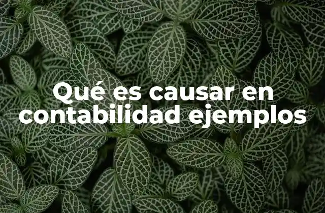 Qué es Causar en Contabilidad Ejemplos