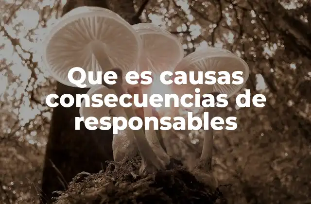 Que es Causas Consecuencias de Responsables
