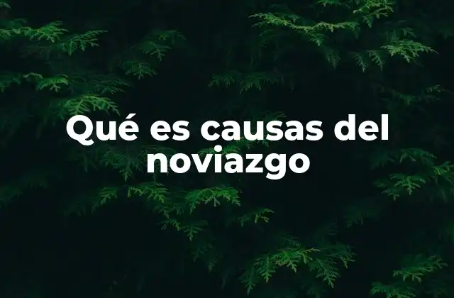 Qué es Causas Del Noviazgo