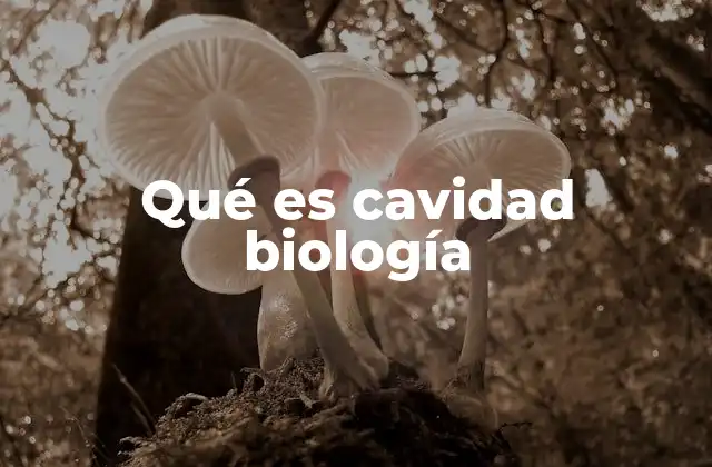 Qué es Cavidad Biología