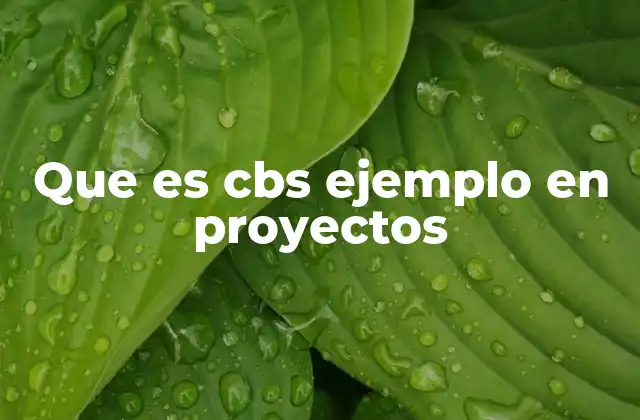Que es Cbs Ejemplo en Proyectos