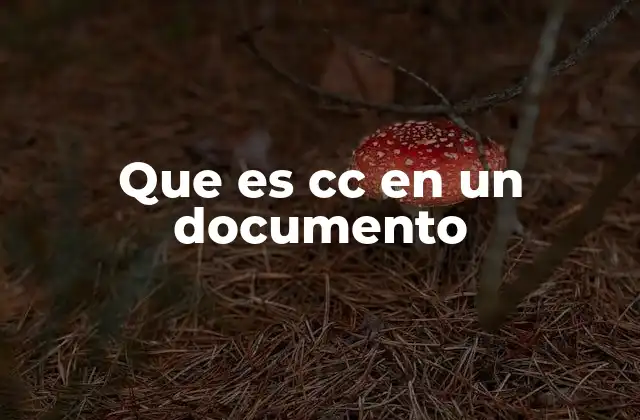 Que es Cc en un Documento