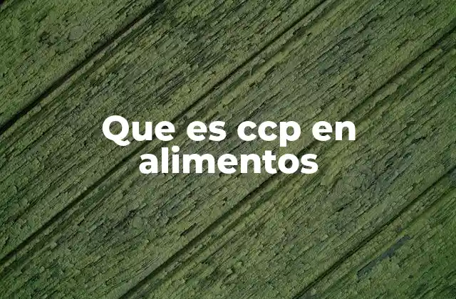 Que es Ccp en Alimentos