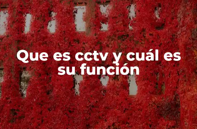 Que es Cctv y Cuál es Su Función
