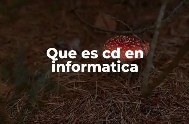 Que es Cd en Informatica
