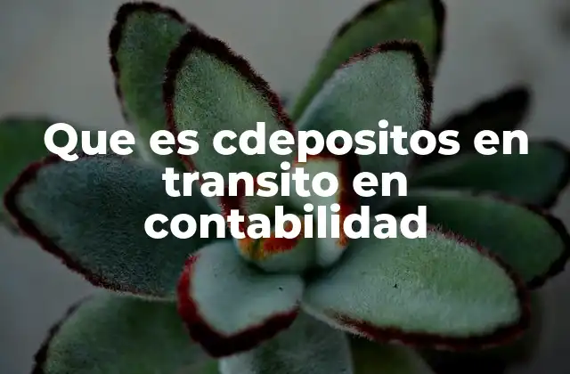 Que es Cdepositos en Transito en Contabilidad