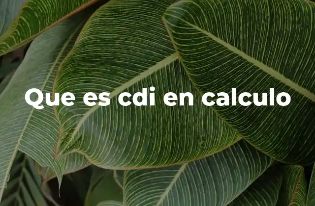 El CDI como referencia en fórmulas financieras