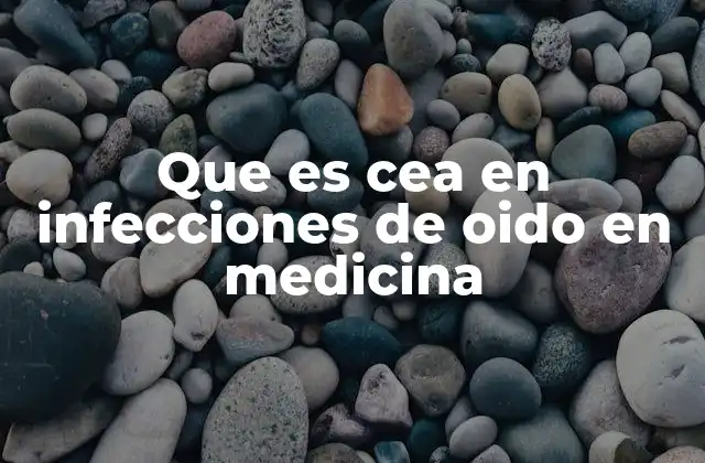 Que es Cea en Infecciones de Oido en Medicina 2 El papel del CEA en el diagnóstico de infecciones crónicas del oído