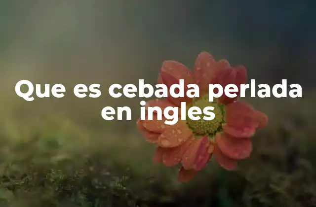 Uso de la cebada perlada en diferentes contextos