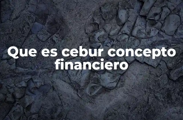 Que es Cebur Concepto Financiero