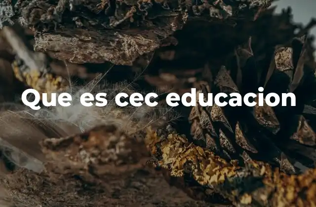 Que es Cec Educacion