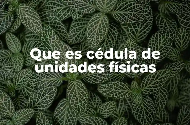 Descripción técnica de las unidades inmobiliarias