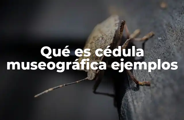 Qué es Cédula Museográfica Ejemplos