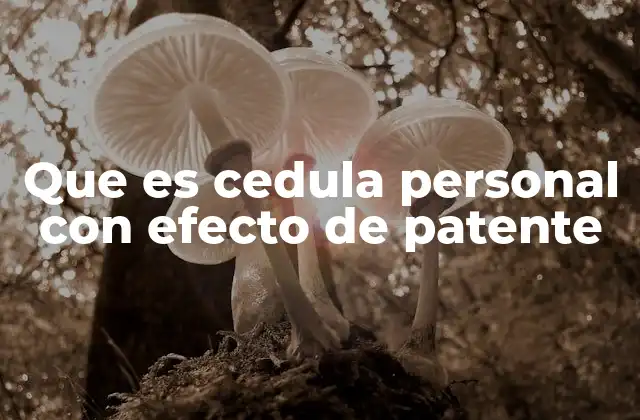 La relación entre cédulas personales y protección de la propiedad intelectual
