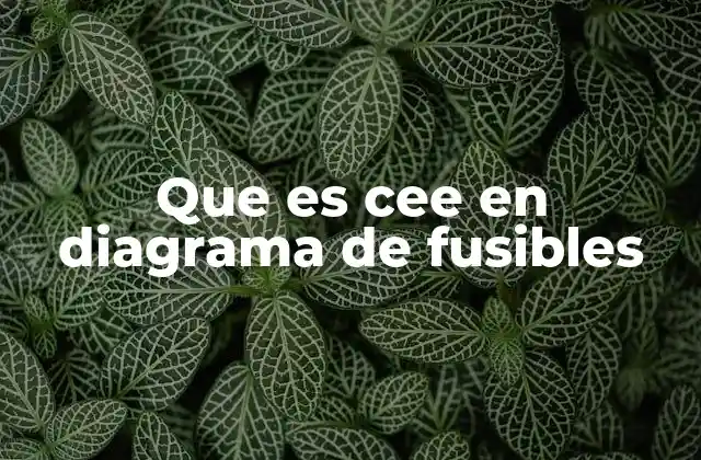 Que es Cee en Diagrama de Fusibles