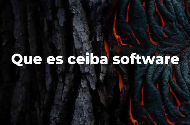 Que es Ceiba Software