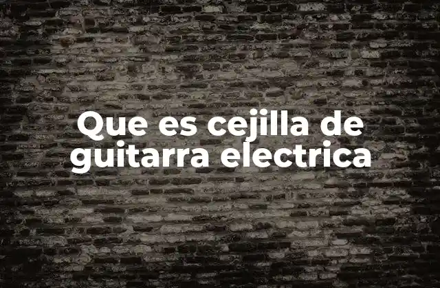 Que es Cejilla de Guitarra Electrica