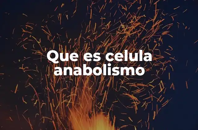 Que es Celula Anabolismo