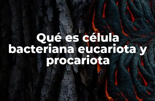 Qué es Célula Bacteriana Eucariota y Procariota