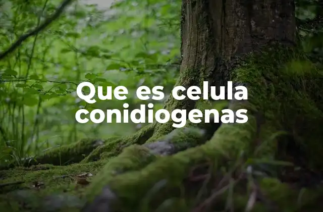 Que es Celula Conidiogenas