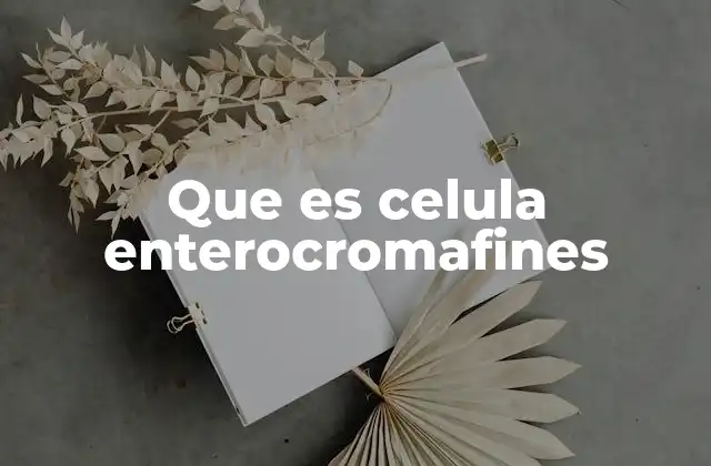 Que es Celula Enterocromafines 2 El papel de las células enterocromafines en el sistema digestivo