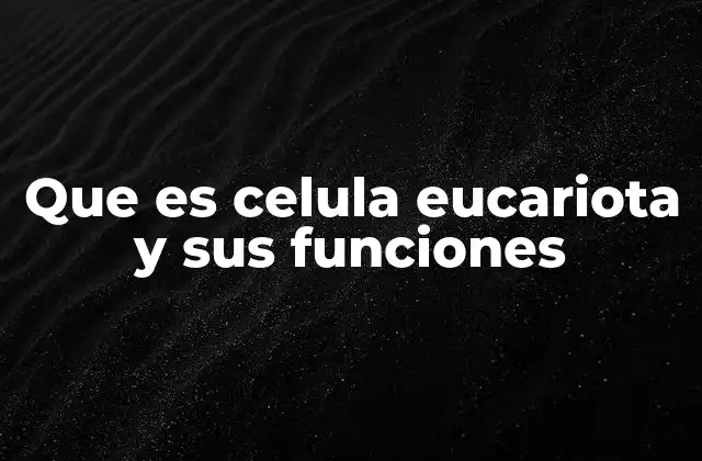 Que es Celula Eucariota y Sus Funciones