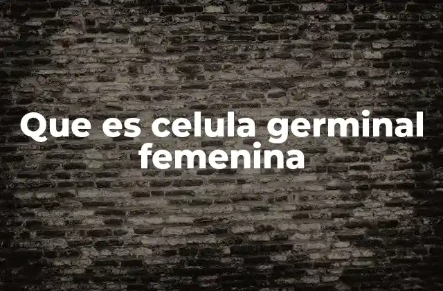 Que es Celula Germinal Femenina 2 El papel de las células germinales en la reproducción humana