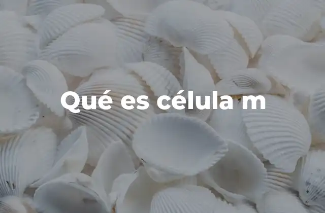 Qué es Célula M