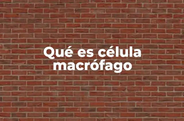 Qué es Célula Macrófago