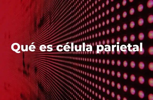 Qué es Célula Parietal