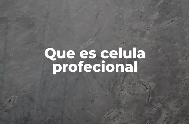 La importancia de los equipos multidisciplinarios en el trabajo