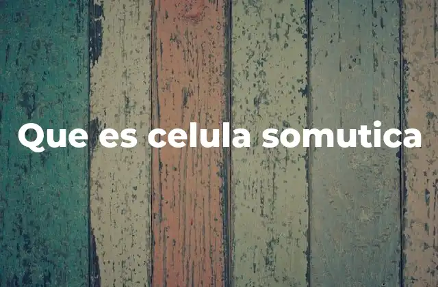 El papel de las células en la estructura del cuerpo