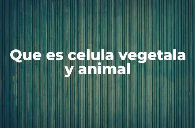 Que es Celula Vegetala y Animal