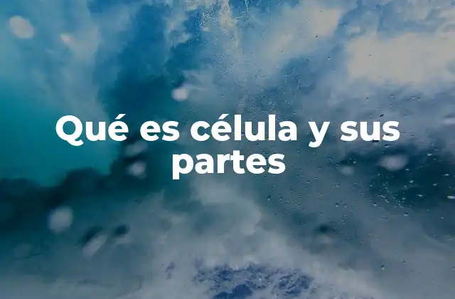 Qué es Célula y Sus Partes
