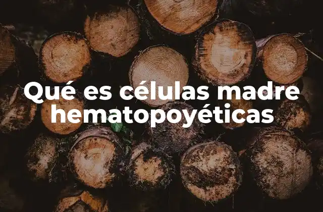 Qué es Células Madre Hematopoyéticas 2 El origen y función de las células madre hematopoyéticas