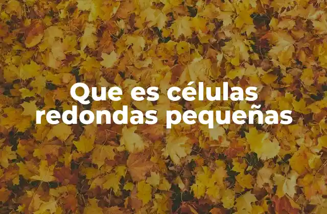 Que es Células Redondas Pequeñas 2 Células con morfología esférica y su relevancia en la medicina